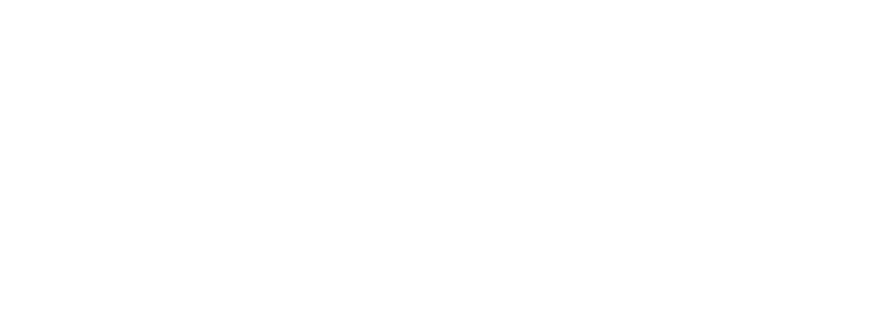 Logo AutoParti